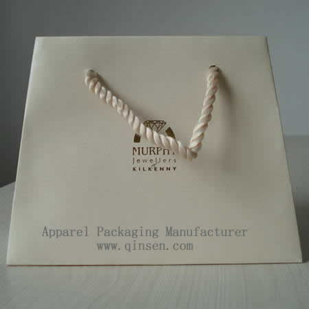 Luxury Paper Shopping Gift Bag with Logo