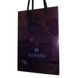 Printed Paper Shopping Gift Bag with Handle