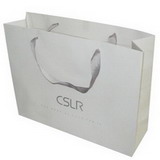 Color Paper Shopping Gift Bag with Logo