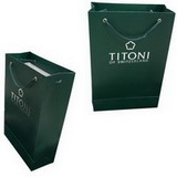 Color Printed Paper Shopping Gift Bag