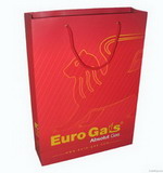 Fashion Paper Gift Bag with Handle