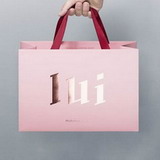 Top Brand Paper Bag design with Hot Stamped Logo and tape handle