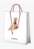 Fancy Design Idea for Lingerie Shopping Bag