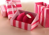 Victoria's Secret Brand Lingerie Packaging